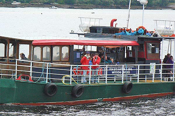 Seafari Kenmare